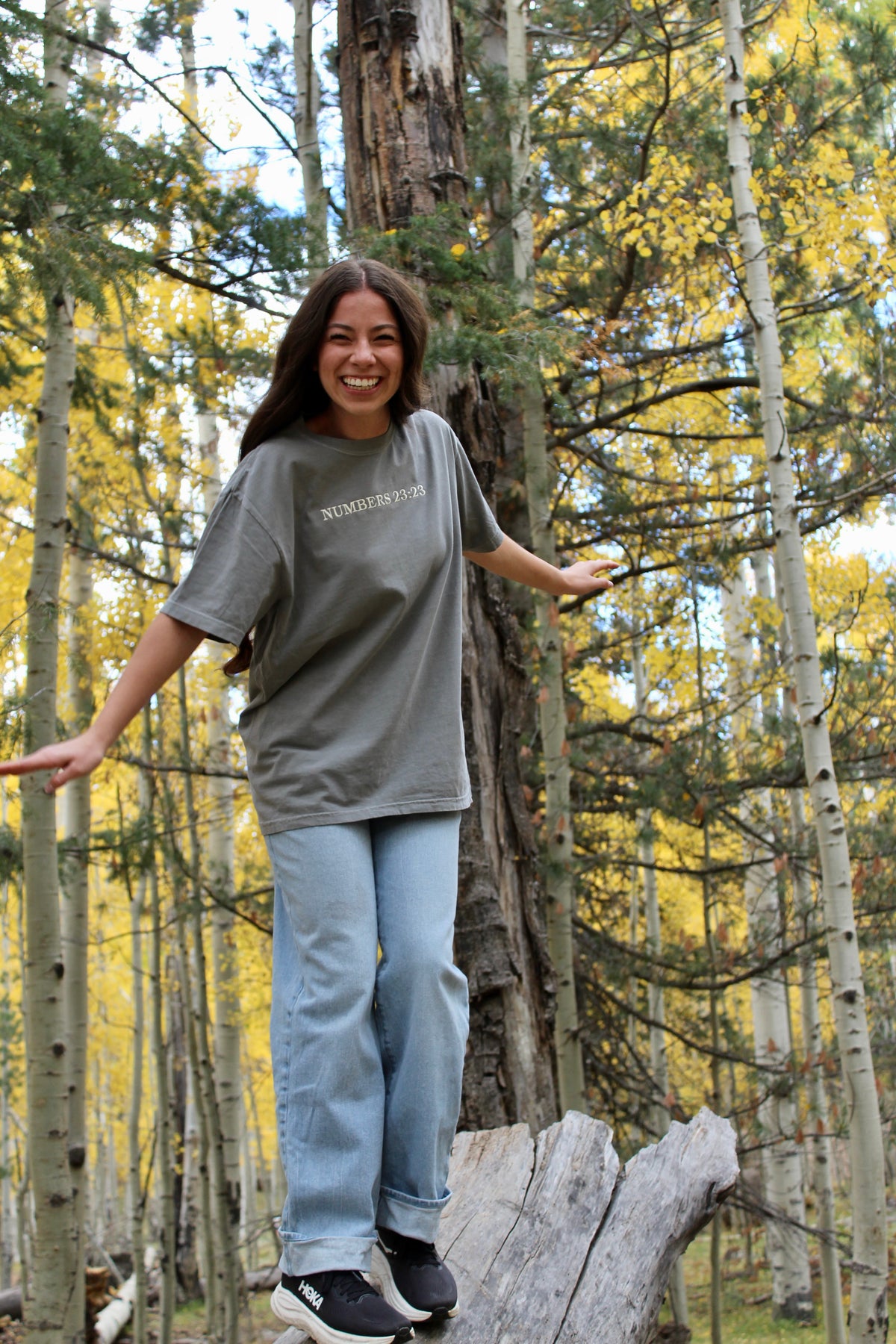 NUMBERS 23:23 EMBROIDERED T-SHIRT