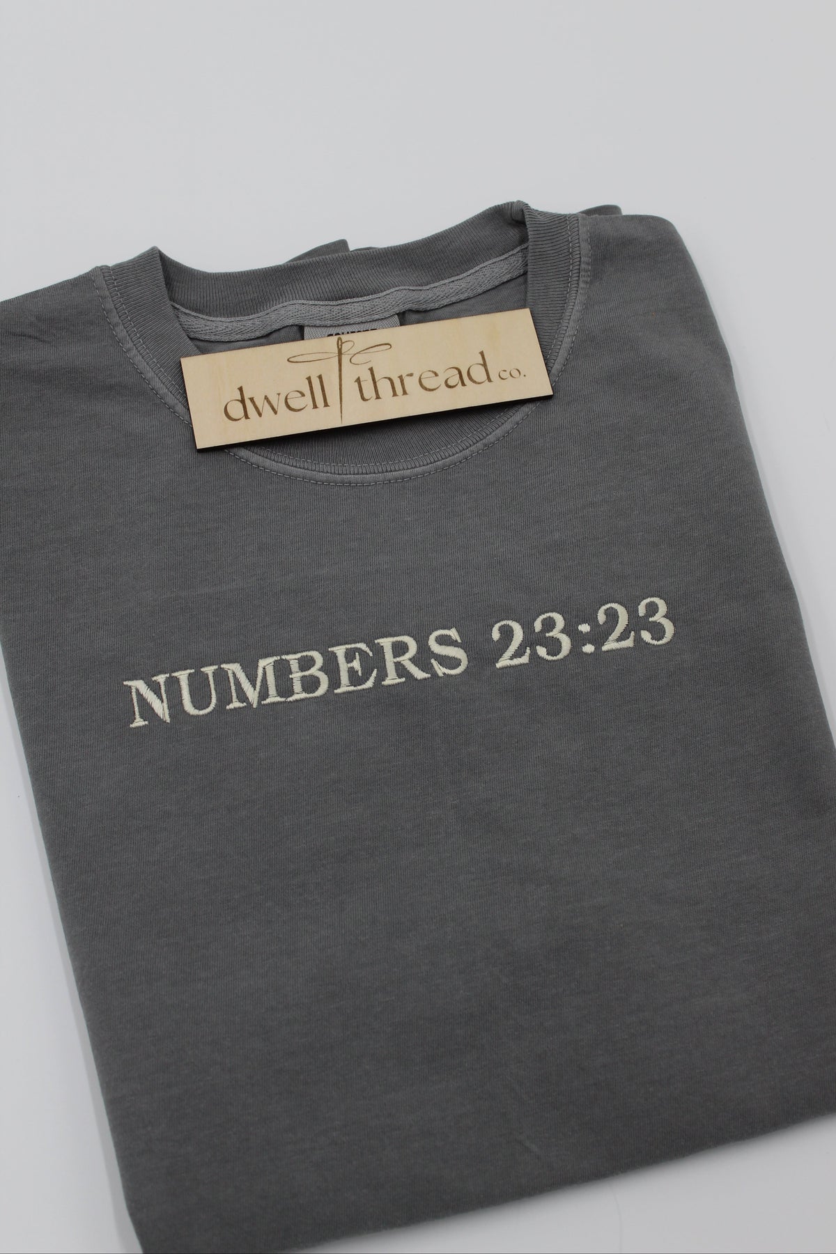 NUMBERS 23:23 EMBROIDERED T-SHIRT